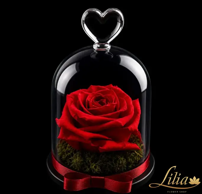 lilia.bg