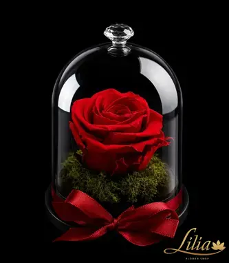 lilia.bg