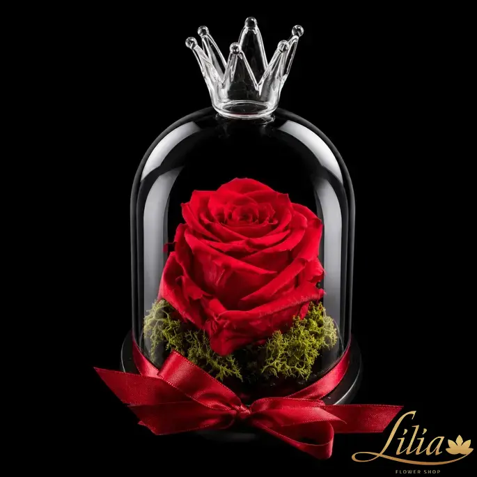 lilia.bg