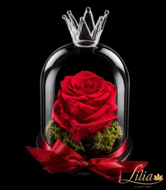 lilia.bg