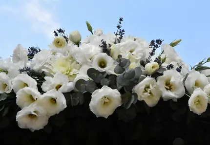 LiliaEvent