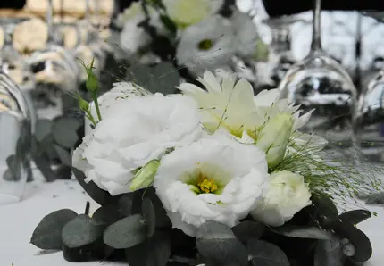 LiliaEvent